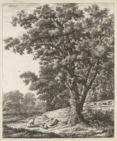 TvB G 3435
<br/>
Dood van Adonis
<br/>
<em>Waterloo, Anthonie, (1609-1690)</em>